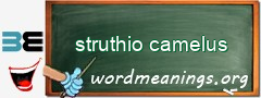 WordMeaning blackboard for struthio camelus